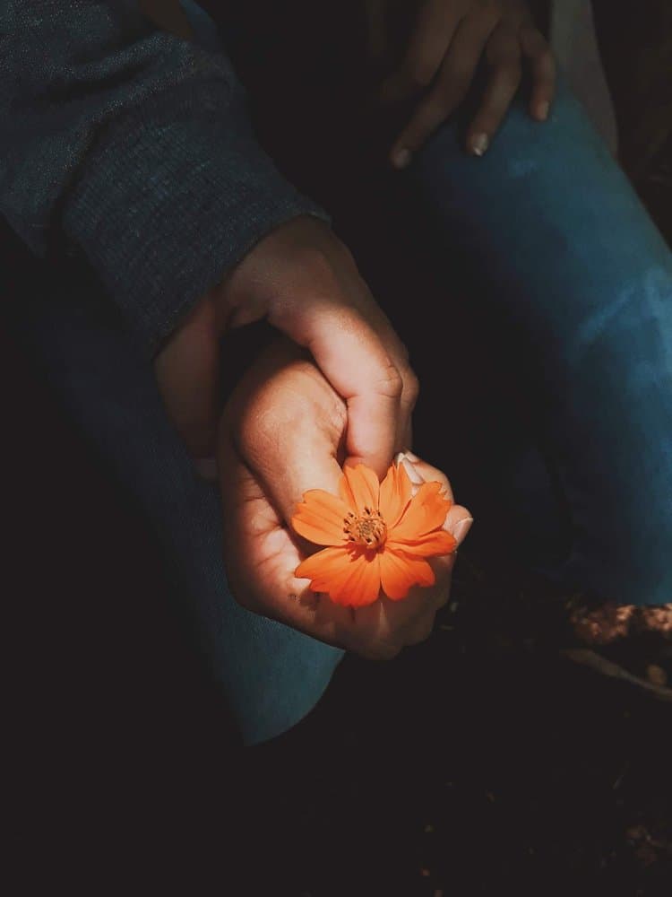 Trauma Recovery